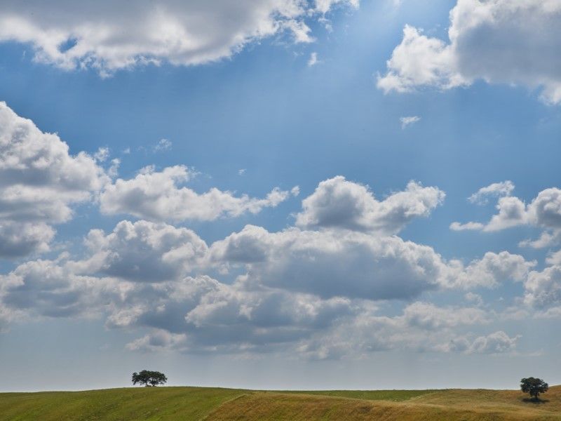 house 6 Rooms for sale on Montemor-o-Novo (7050)