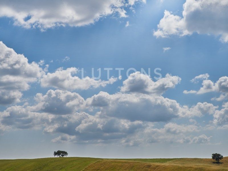 house 6 Rooms for sale on Montemor-o-Novo (7050)