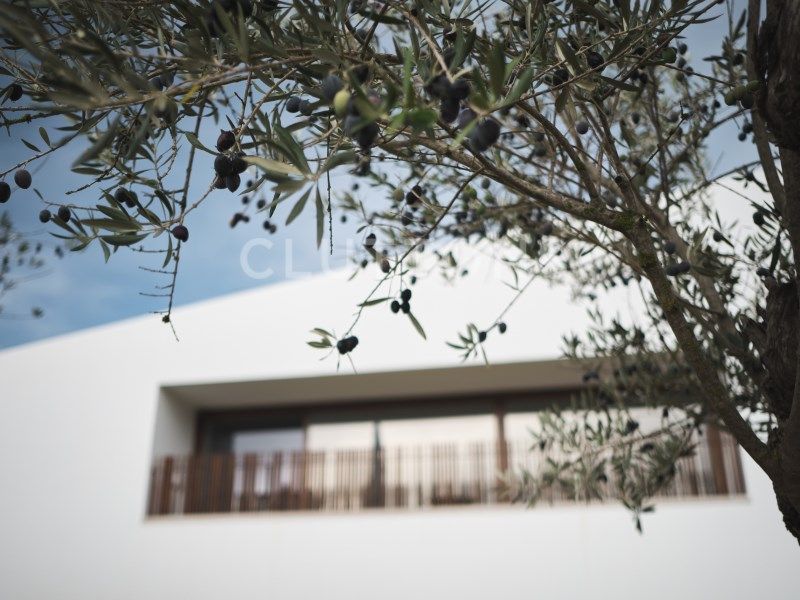 house 6 Rooms for sale on Montemor-o-Novo (7050)