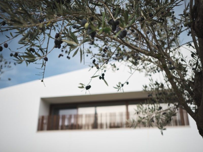 house 8 Rooms for sale on Montemor-o-Novo (7050)