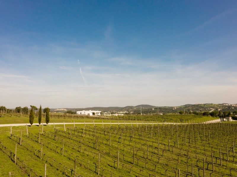 house 8 Rooms for sale on Montemor-o-Novo (7050)