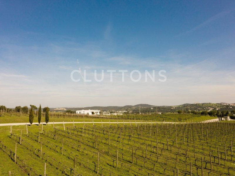 house 8 Rooms for sale on Montemor-o-Novo (7050)