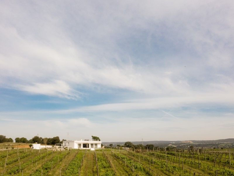 house 8 Rooms for sale on Montemor-o-Novo (7050)