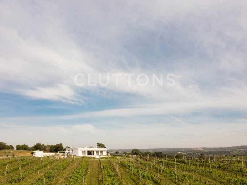 house 8 Rooms for sale on Montemor-o-Novo (7050)