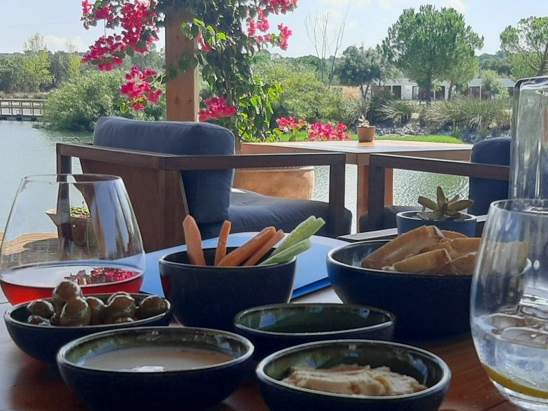 house 8 Rooms for sale on Montemor-o-Novo (7050)