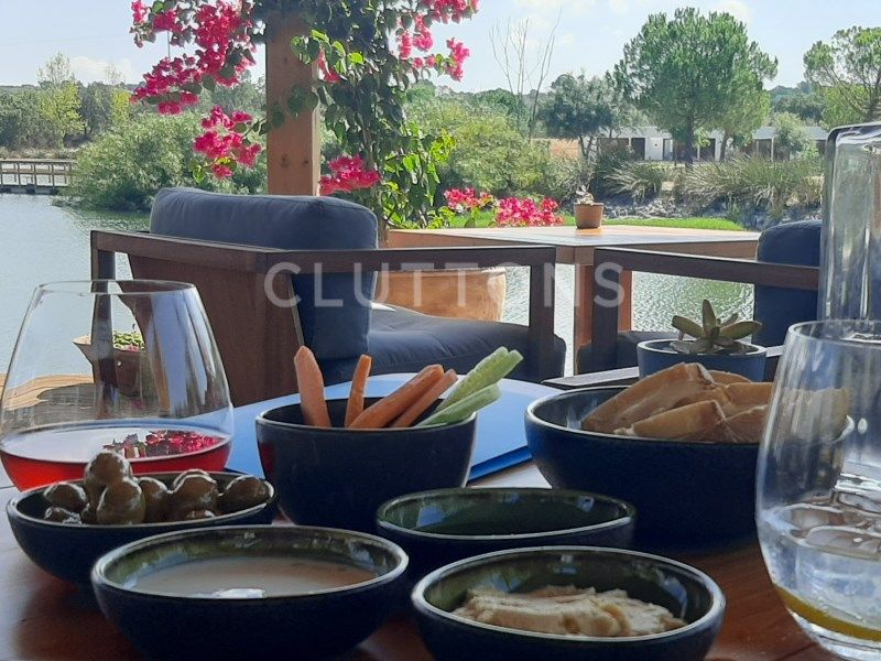 house 8 Rooms for sale on Montemor-o-Novo (7050)