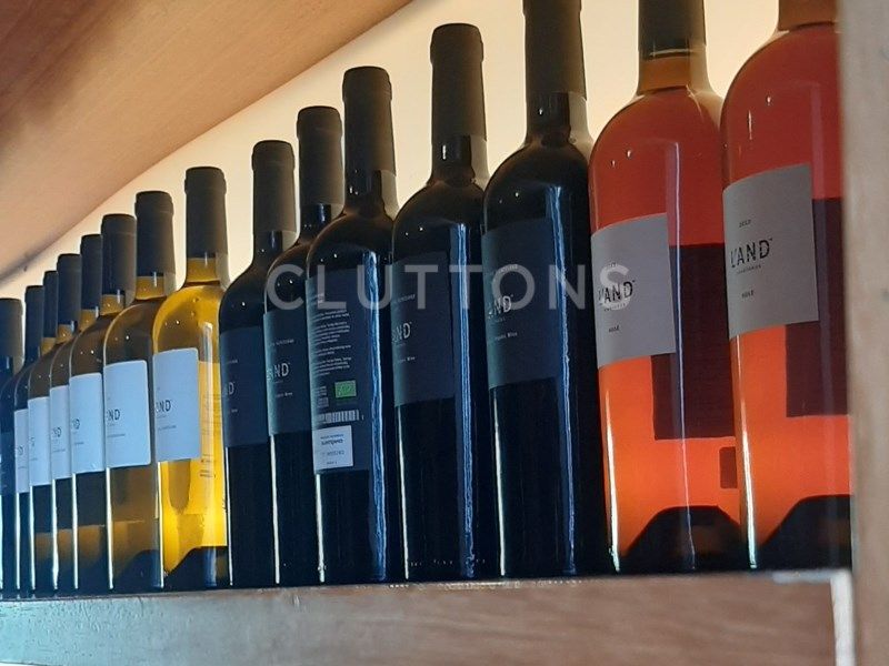 house 6 Rooms for sale on Montemor-o-Novo (7050)