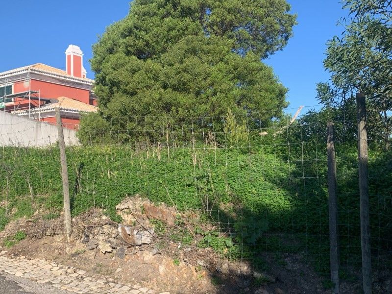 miscellaneous for sale on Cascais (2765)