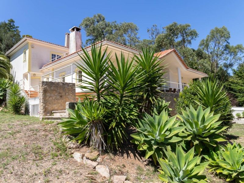 house 10 Rooms for sale on Cascais (2755) Sale House Cascais 10 Rooms