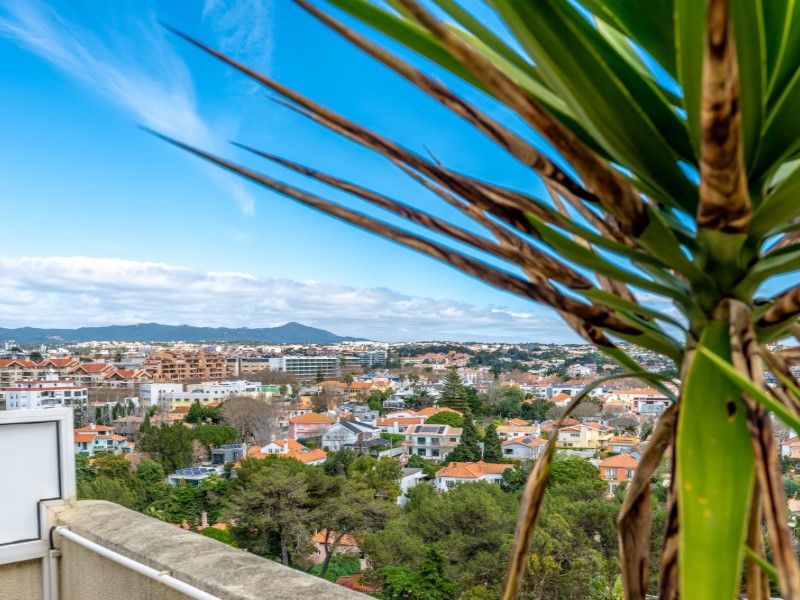 apartment 11 Rooms for sale on Cascais (2750) Sale Apartment Cascais 11 Rooms