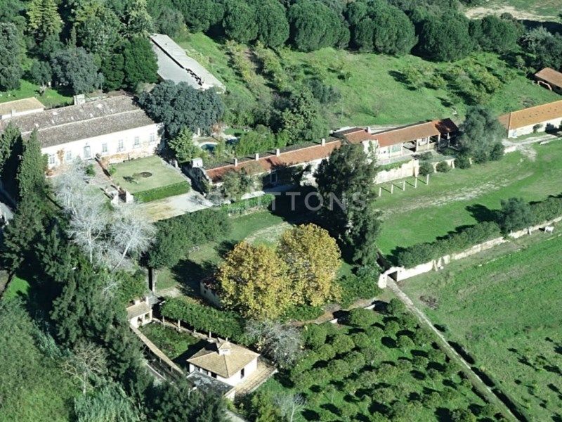 farmhouse 21 Rooms for sale on Setúbal (2900)