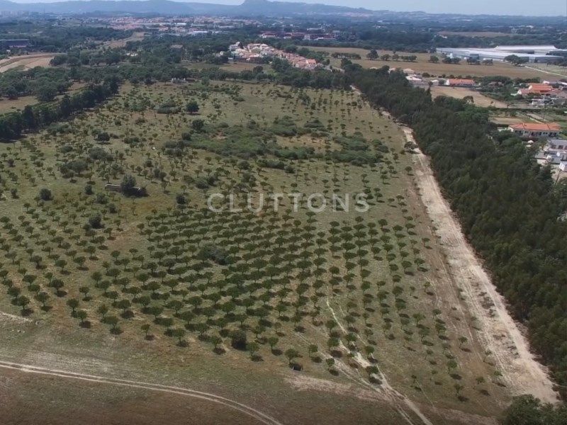 terrain 2 Pièces en vente sur Setúbal (2910)