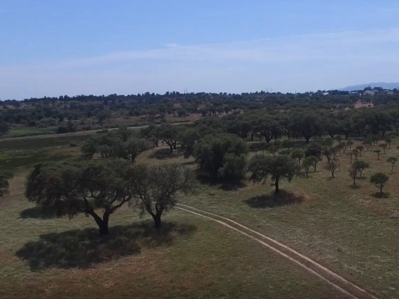 terrain 2 Pièces en vente sur Setúbal (2910)