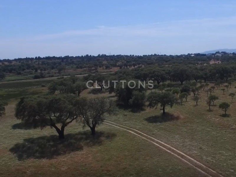 terrain 2 Pièces en vente sur Setúbal (2910)