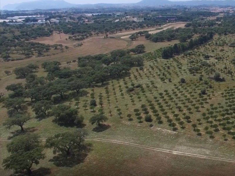 terrain 2 Pièces en vente sur Setúbal (2910)