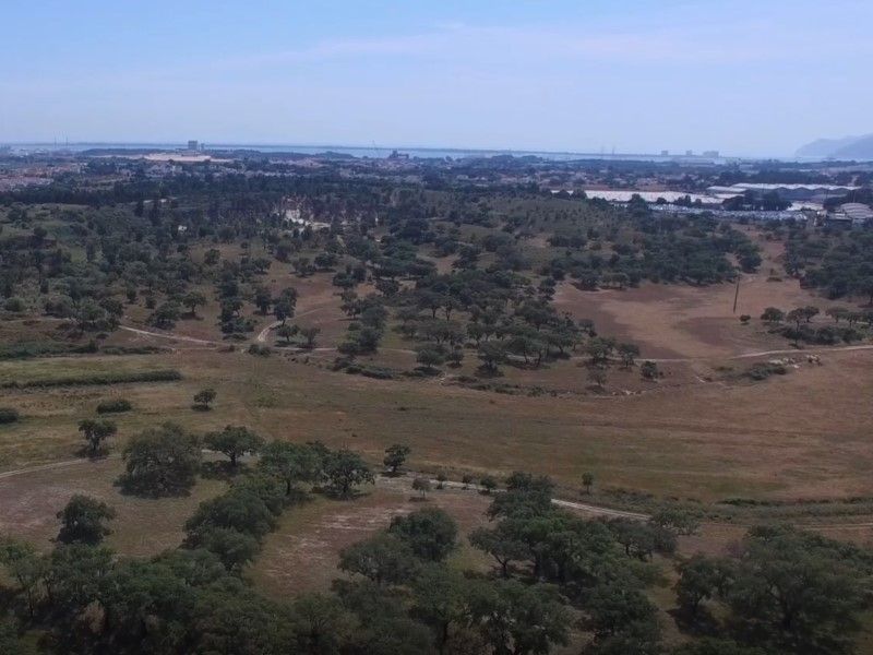 terrain 2 Pièces en vente sur Setúbal (2910)