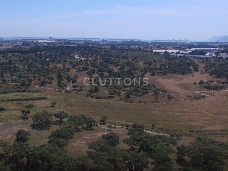 land 2 Rooms for sale on Setúbal (2910)