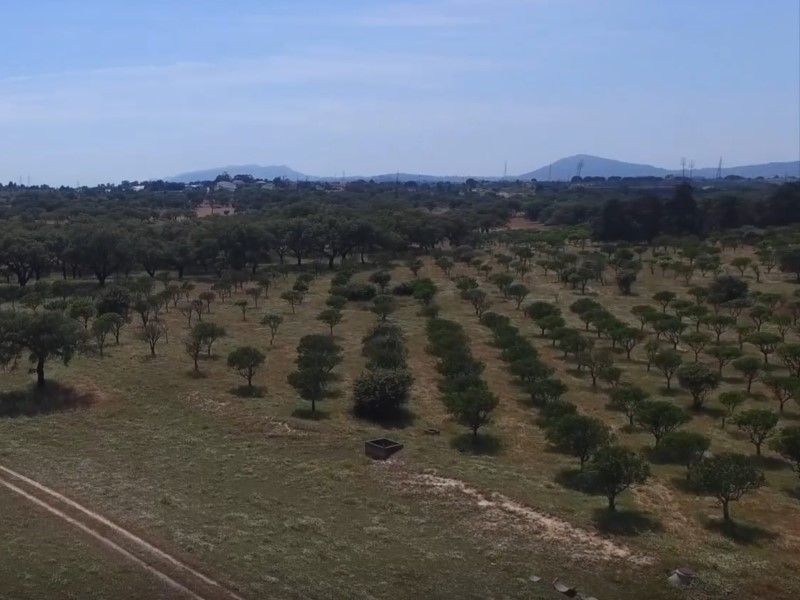 terrain 2 Pièces en vente sur Setúbal (2910)