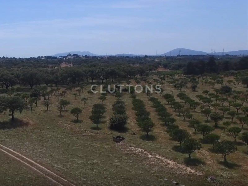 land 2 Rooms for sale on Setúbal (2910)