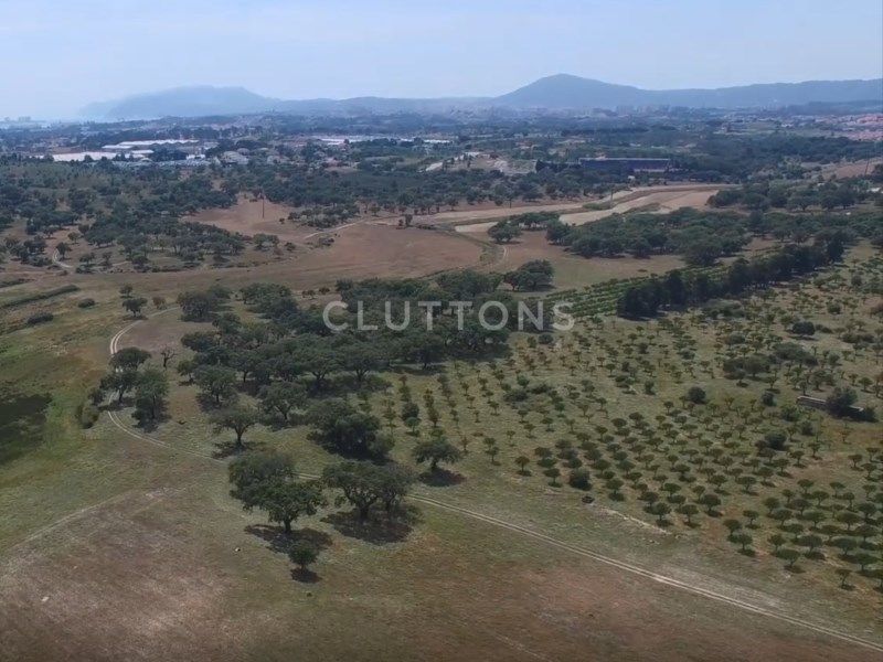 terrain 2 Pièces en vente sur Setúbal (2910)