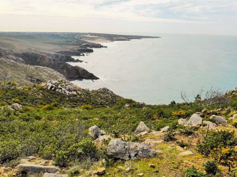 maison 8 Pièces en vente sur Cascais (2755)