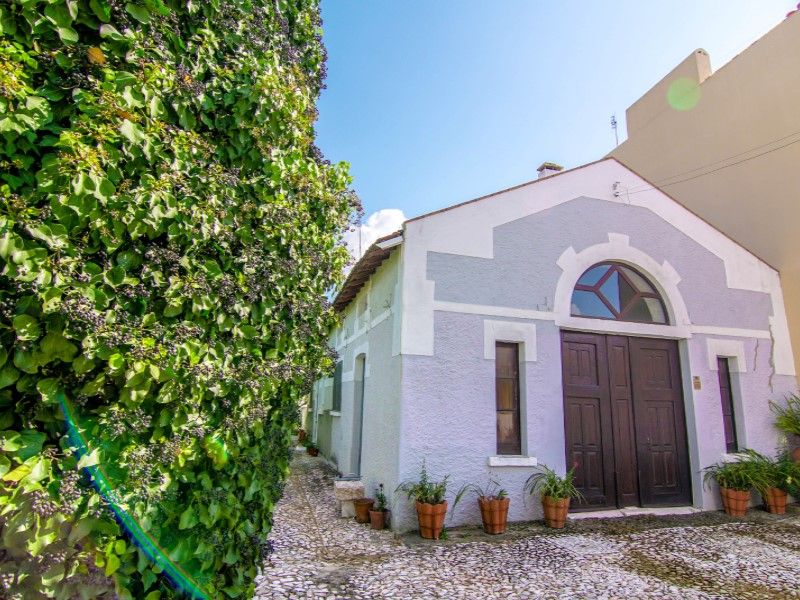 house 11 Rooms for sale on Estremoz (7100)