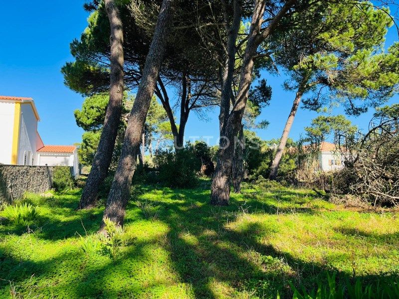 terrain en vente sur Sintra (2705)