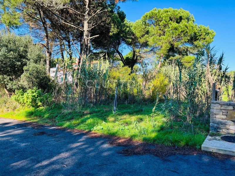 terrain en vente sur Sintra (2705)