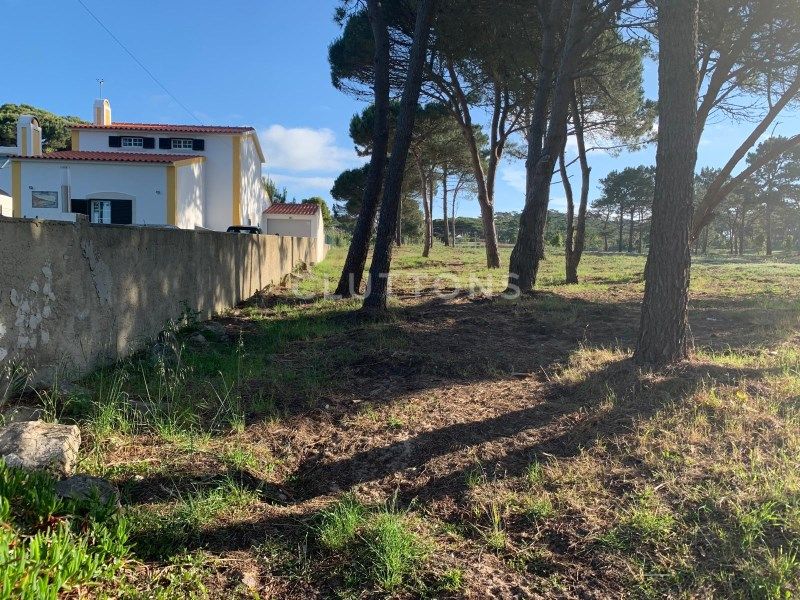 terrain en vente sur Sintra (2705)