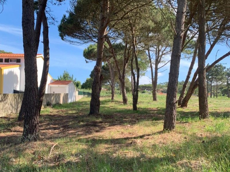 terrain en vente sur Sintra (2705)