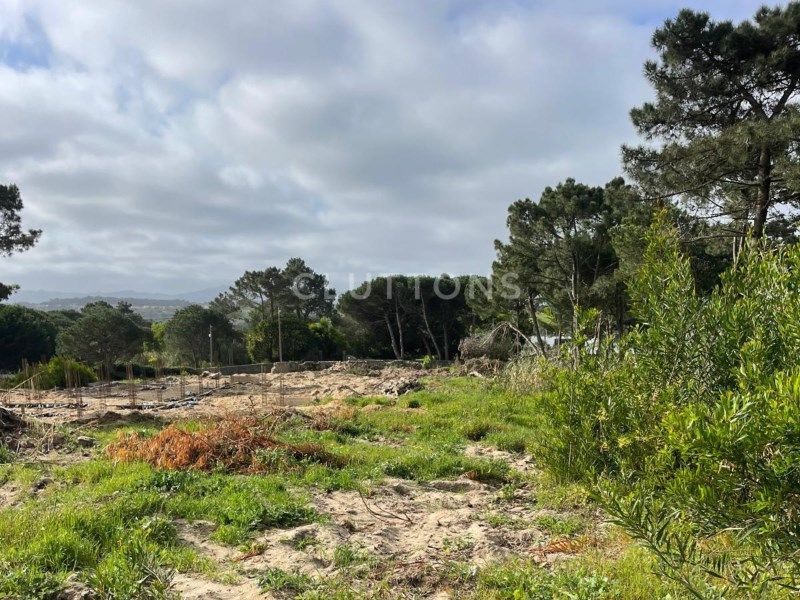 land for sale on Sintra (2705)