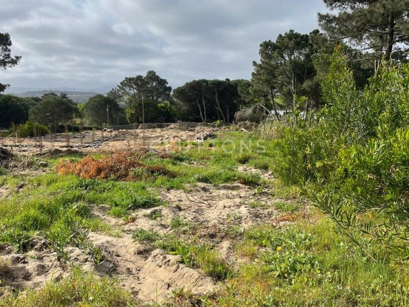 land for sale on Sintra (2705)