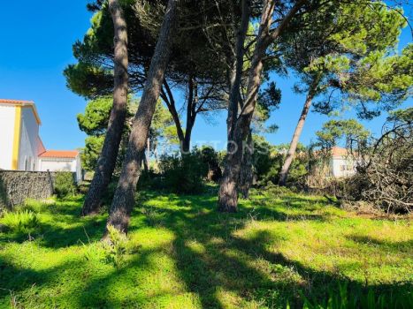 Vente Terrain Sintra