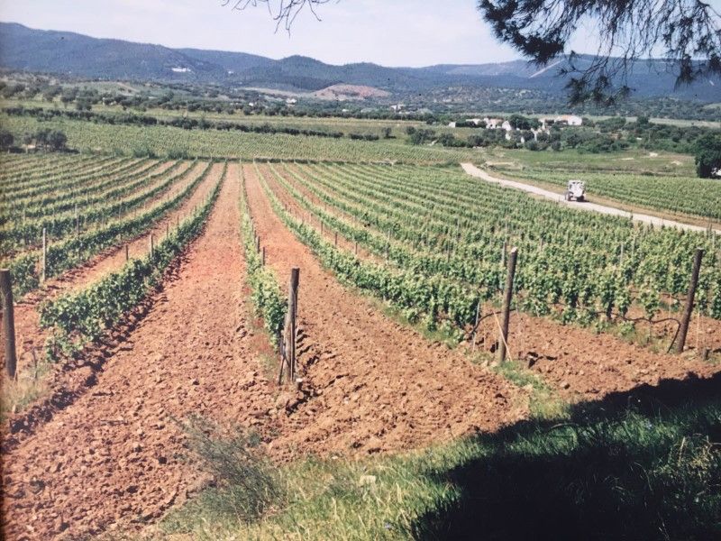 land for sale on Redondo (7171)