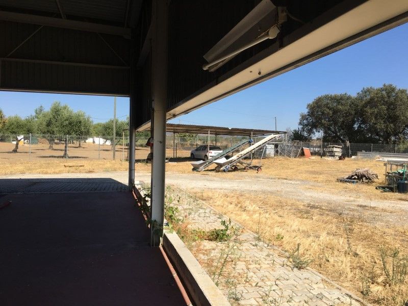 land for sale on Redondo (7171)