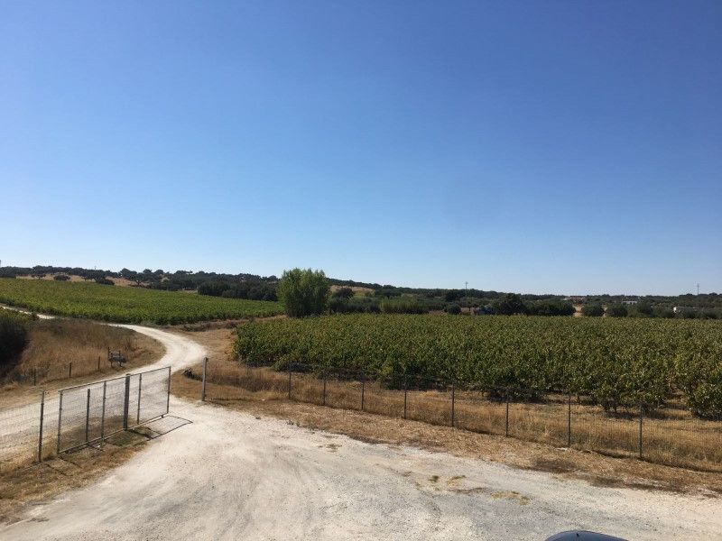 land for sale on Redondo (7171)