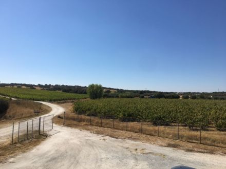 Vente Terrain Redondo