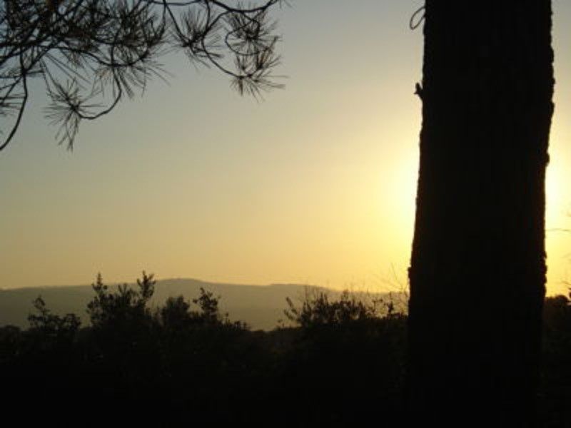 land for sale on Borba (7150)