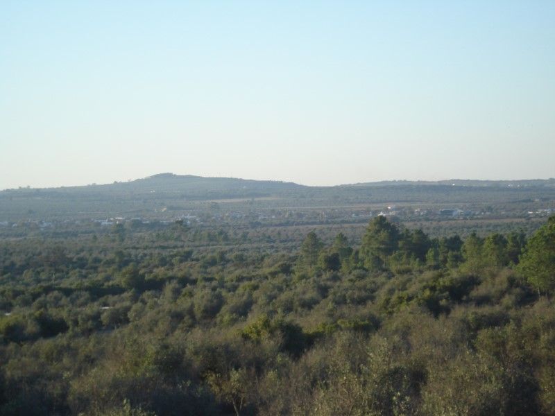 land for sale on Borba (7150)