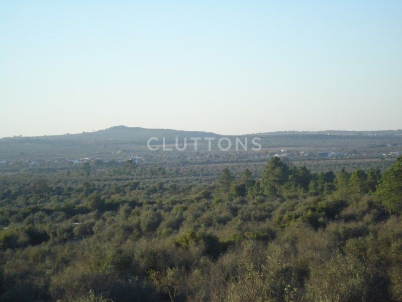 land for sale on Borba (7150)