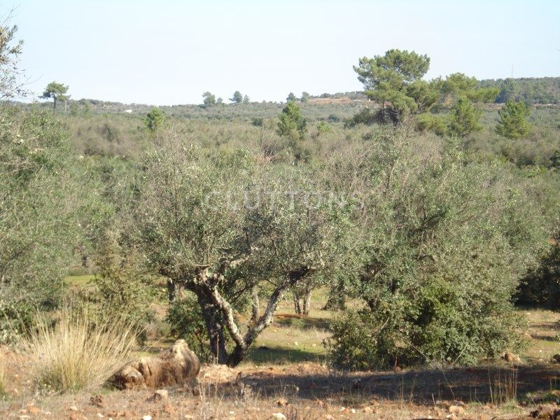 land for sale on Borba (7150)