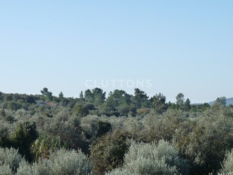 land for sale on Borba (7150)
