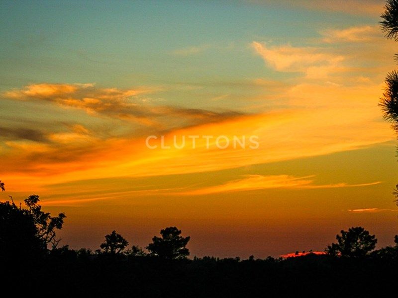 land for sale on Borba (7150)