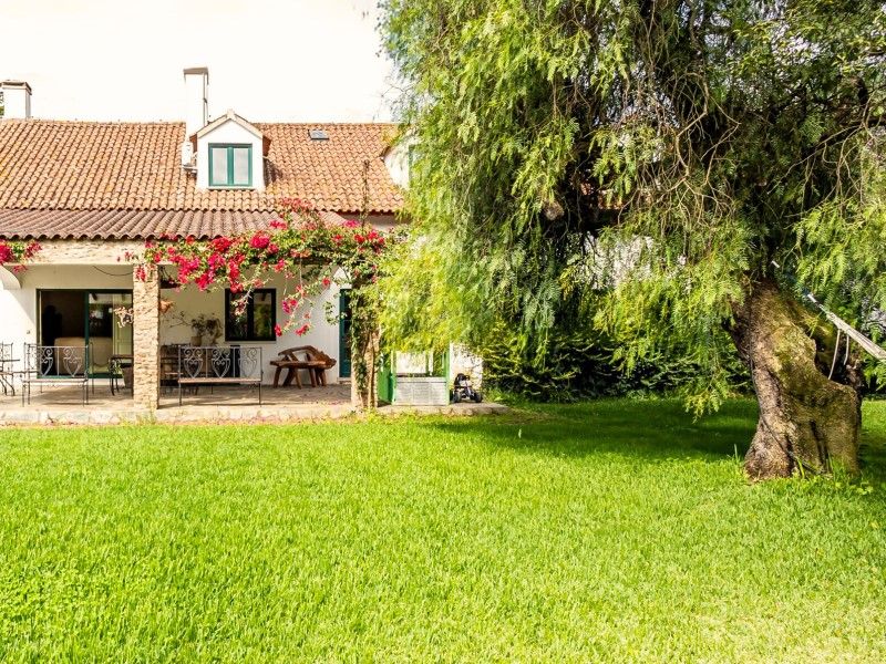house 21 Rooms for sale on Estremoz (7100)