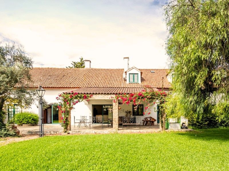 house 21 Rooms for sale on Estremoz (7100)