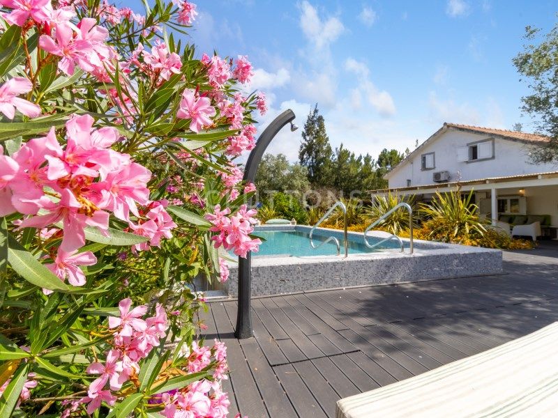 maison 10 Pièces en vente sur Grândola (7570)