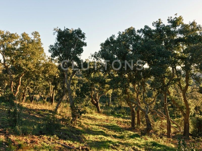 terrain en vente sur Santiago do Cacém (7540)