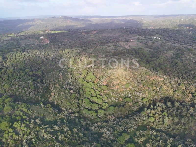 terrain en vente sur Santiago do Cacém (7540)