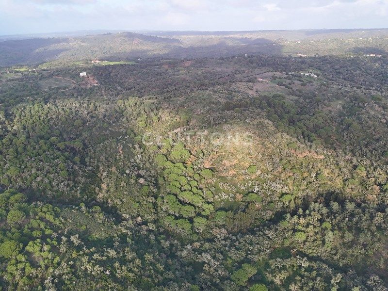 land for sale on Santiago do Cacém (7540)