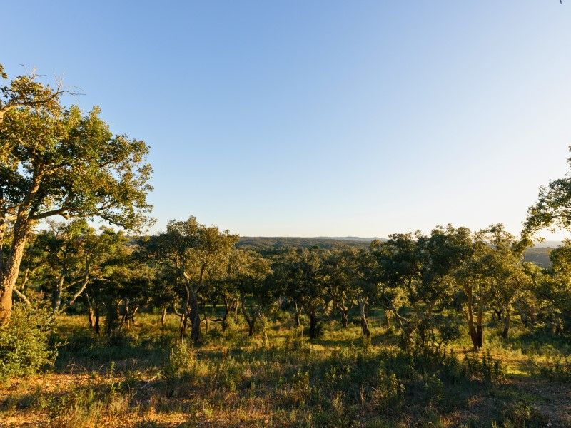 land for sale on Santiago do Cacém (7540)